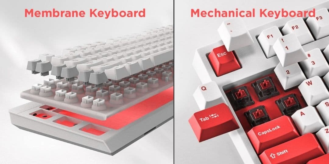 Sudah Tahun 2025 Wajib Paham Perbedaan Keyboard Membran dan Mechanical