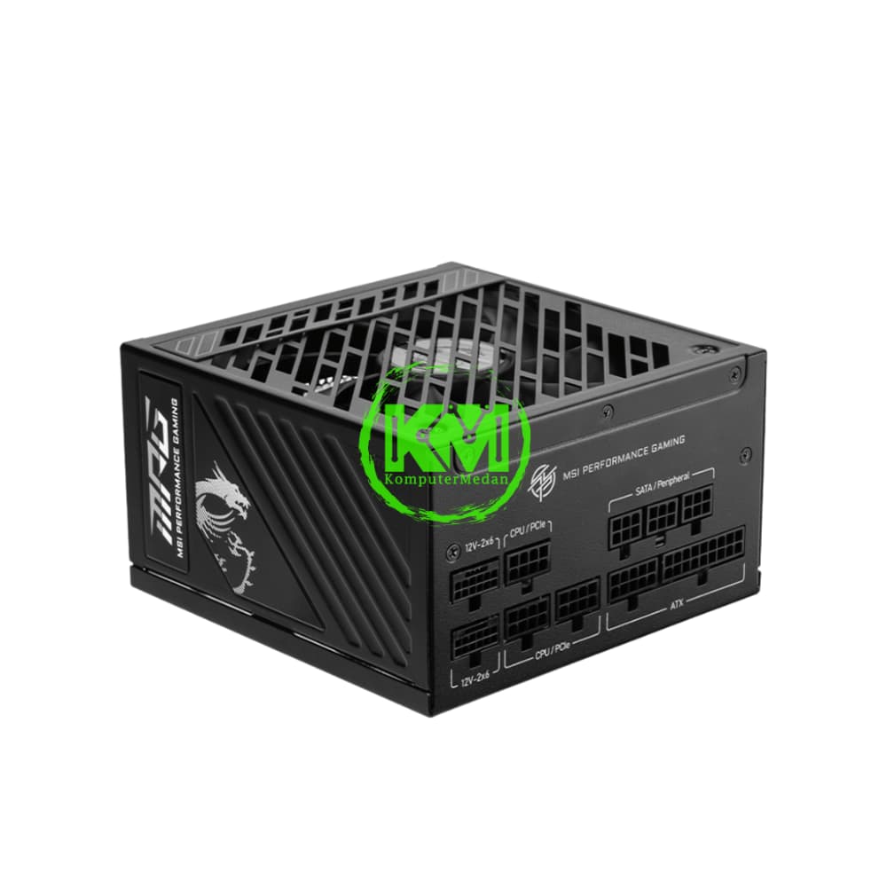 MSI MPG A850GS 850W 80+ GOLD POWER SUPPLY