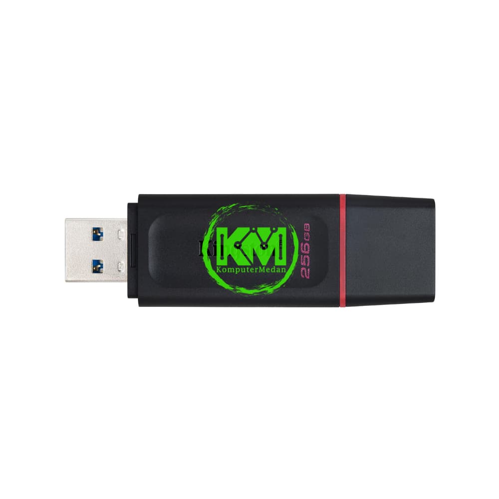 KINGSTON DT EXODIA 256GB USB 3.2 FLASHDISK - Image 3
